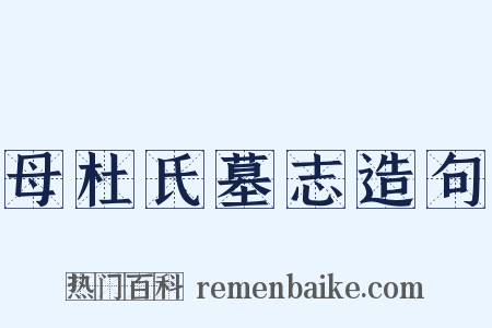 母杜氏墓志造句是什么意思的图片